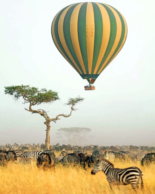 Air Balloon Africa paint by numbers