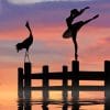 Ballerina And Bird Silhouette Paint By Numbers