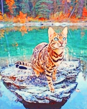Bengal Cat On Rock Paint By Numbers