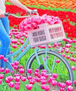 Bike In Tulips Field paint by numbers