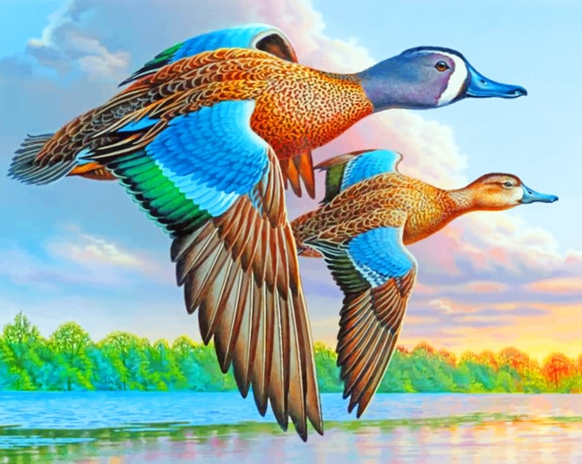 Flying Mallards Paint By Numbers