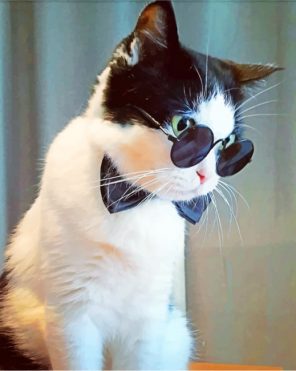 Cat With Black Sunglasses paint by numbers