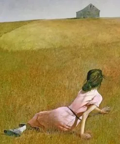 Christinas World Paint By Numbers