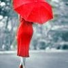 Lady In Red Under Umbrella Paint By Numbers