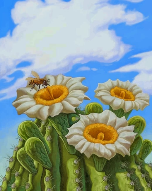 Bee On Daisies Paint By Numbers