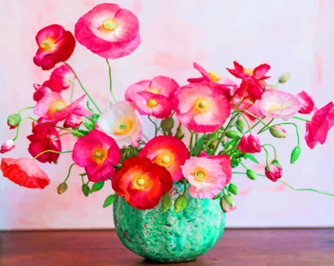Pink Peonies Vase Paint By Numbers
