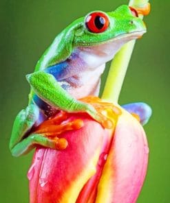 Frog On Tulip Paint By Numbers