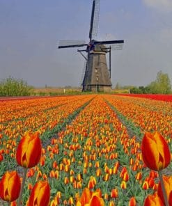 Kinderdijk Netherlands Paint by numbers