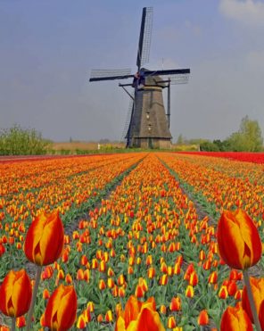 Kinderdijk Netherlands Paint by numbers