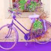 Lavender Bike paint by numbers