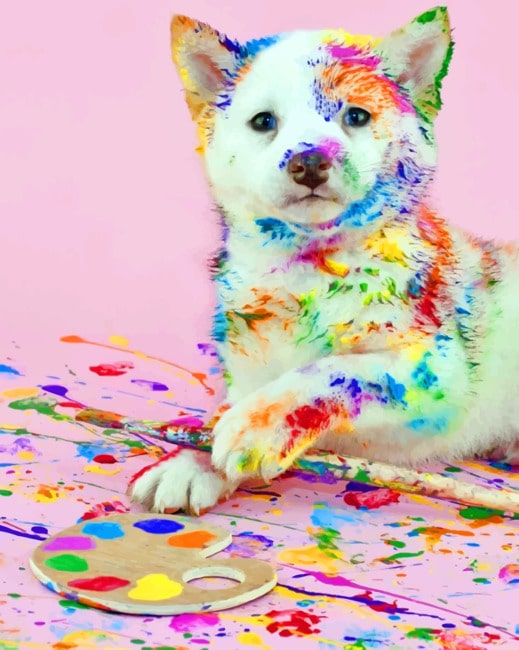 Colorful Puppy Paint By Numbers