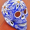 Mexican Blue Skull Paint By Numbers