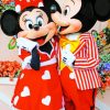 Mickey And Minnie Disney World paint by numbers