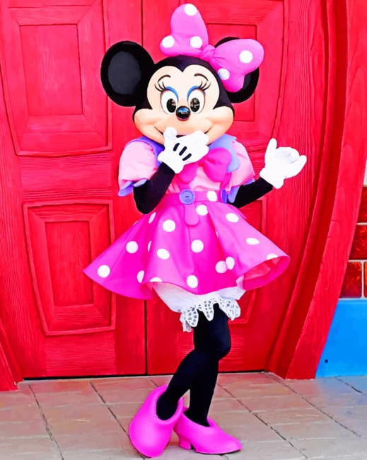 Mini Mouse Pink Dress paint by numbers