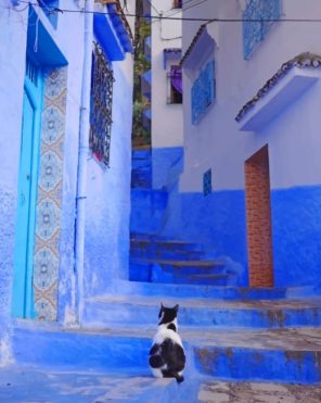 Moroccan Cat paint by numbers