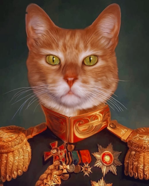 Mr Royal Cat Paint By Numbers