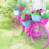 Floral Pink Bicycle Paint By Numbers