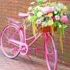 Pink Bike With Flowers Paint By Numbers