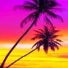 Palms Sunset paint by numbers