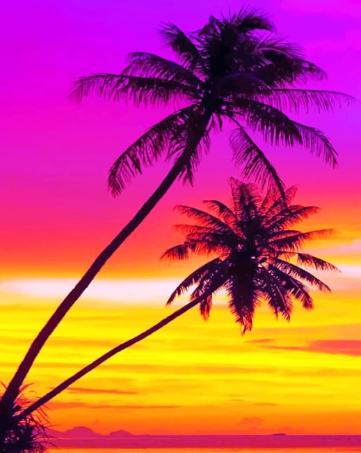 Palms Sunset paint by numbers