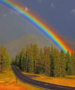 Rainbow Nature paint by numbers
