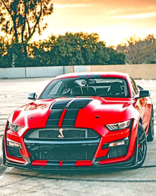 Ford Shelby GT500 Paint By Numbers