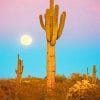 Saguaro Cactus Paint By Numbers