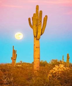 Saguaro Cactus Paint By Numbers