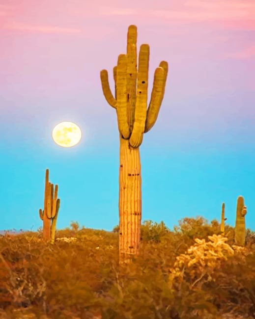 Saguaro Cactus Paint By Numbers