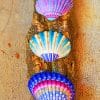 Colorful Sea Shells Paint By Numbers