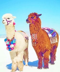 Stylish Alpacas paint by numbers