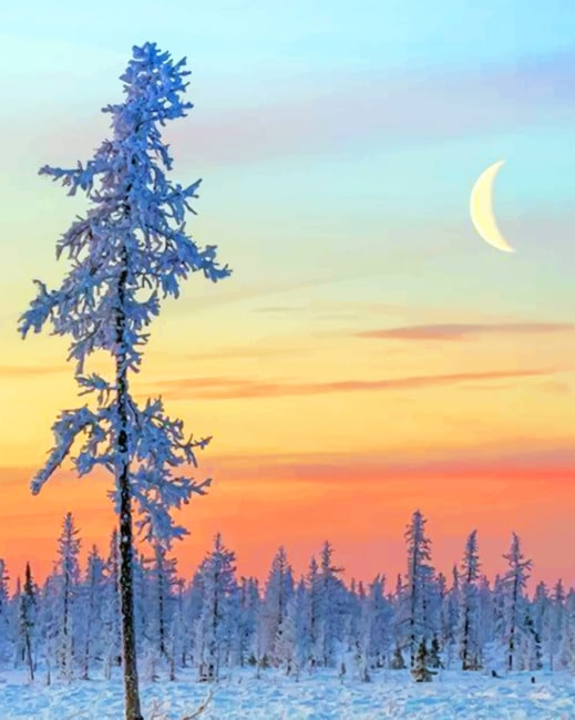 Winter Scenery Paint By Numbers