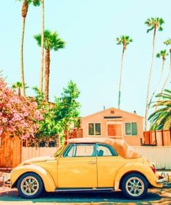 Vintage Yellow Car Paint By Numbers