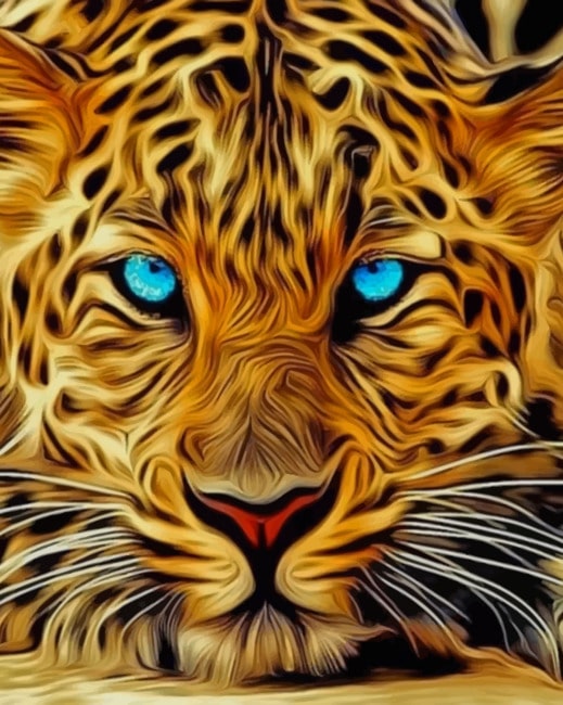 Blue Eyes Leopard Paint By Numbers