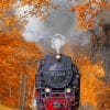 Autumn Train Railway Paint By Numbers