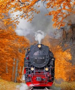 Autumn Train Railway Paint By Numbers