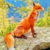 Forest Fox Paint By Numbers