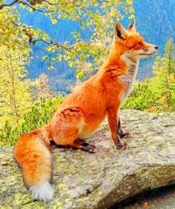Forest Fox Paint By Numbers