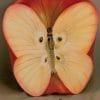 Butterfly Apple Paint By Numbers