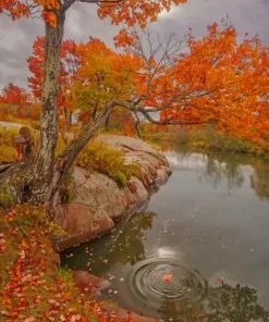 Riverside Fall Tree Paint By Numbers