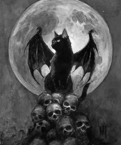 Black Bat Cat Paint By Numbers