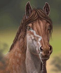 Brown Horse Paint By Numbers