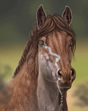 Brown Horse Paint By Numbers