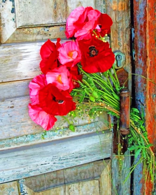 Flowers Decorate Door of The House Flowers Paint By Numbers