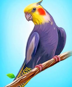 Yellow and Purple Bird Paint by numbers