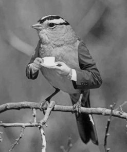 Mr Bird Drinking Coffee Paint By Numbers