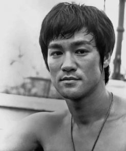 Black And White Bruce Lee Paint by numbers