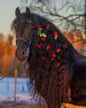 Black Horse With Red Flowers Paint By Numbers