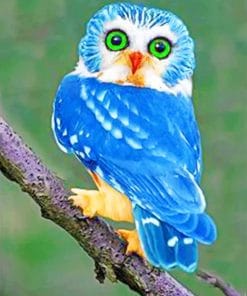 Blue Owl Paint By Numbers