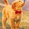 Golden Retriever Puppy Paint By Numbers